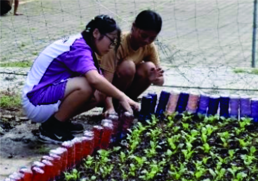 Dari Kebun Sekolah ke Kepedulian Sosial: Gerakan Hijau Siswa SMP Xaverius Pringsewu